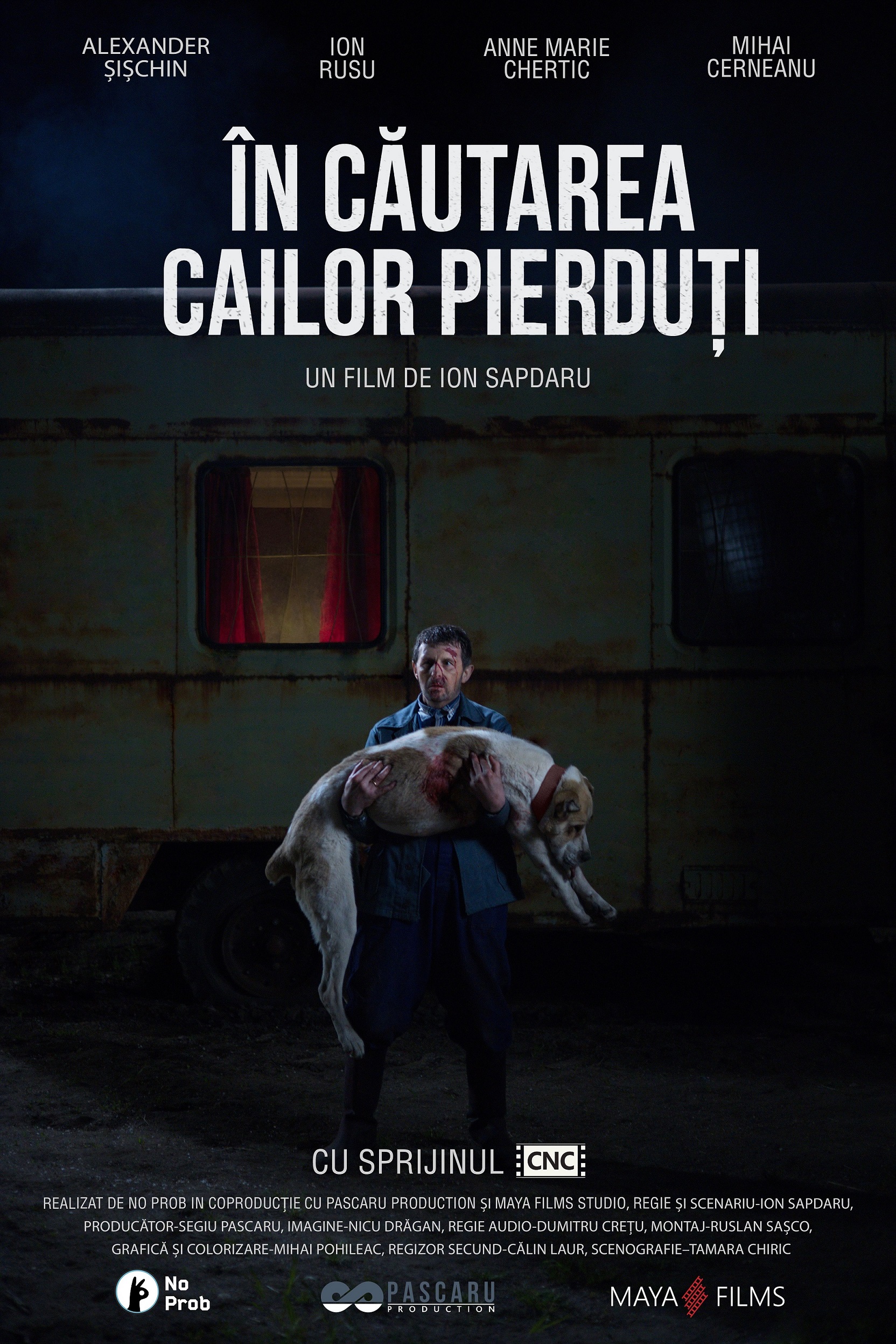 În căutarea cailor pierduți